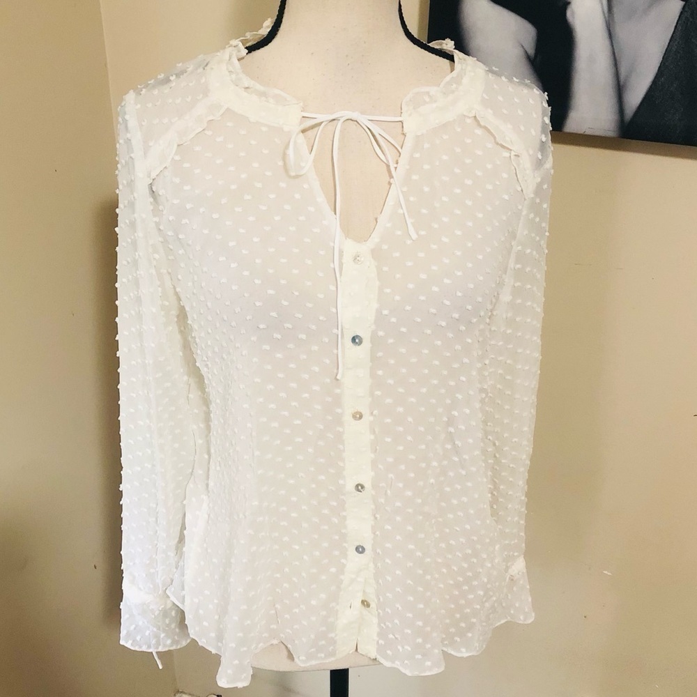FINAL SALE! Zara Ivory Romance Semi-Sheer Polka Dot Top